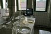 "Meat and Aquarelle" Project /Dresden, Germany - September 5 – 14/